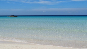 remus c.tripadvisor